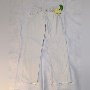 2 For $60! Vintage Levis canvas pants 30 29